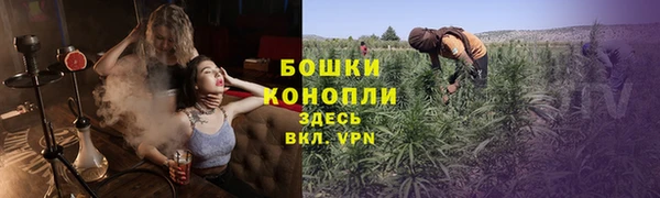 гидропоника Гусев