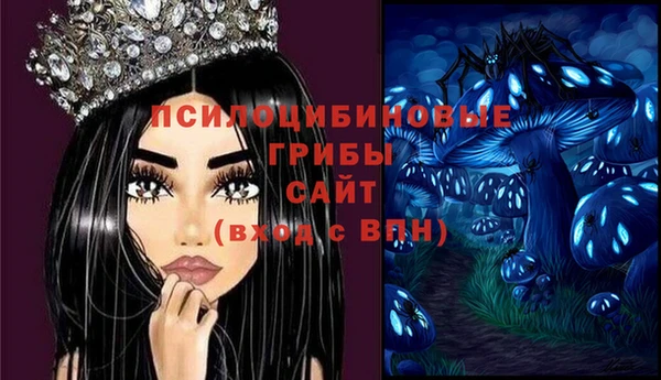 гидропоника Гусев