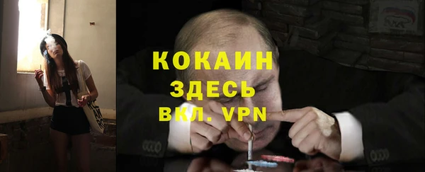 гидропоника Гусев