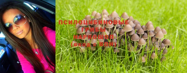 COCAINE Гусиноозёрск