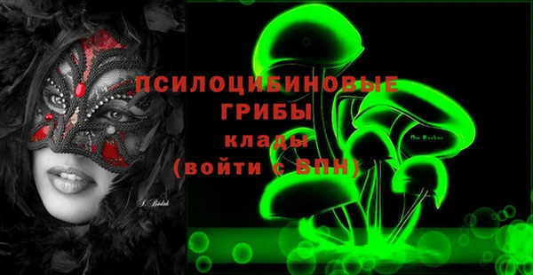 гидропоника Гусев